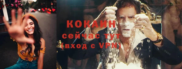 мяу мяу мука Дмитриев
