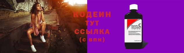 мяу мяу мука Дмитриев