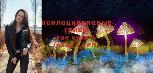 ешки Дмитровск