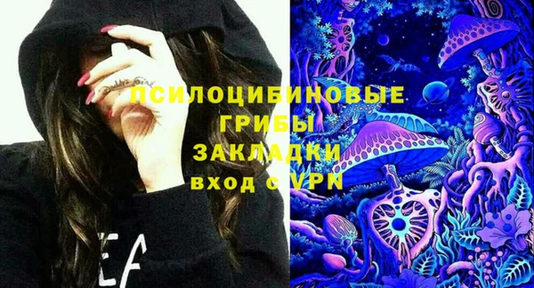мяу мяу мука Дмитриев